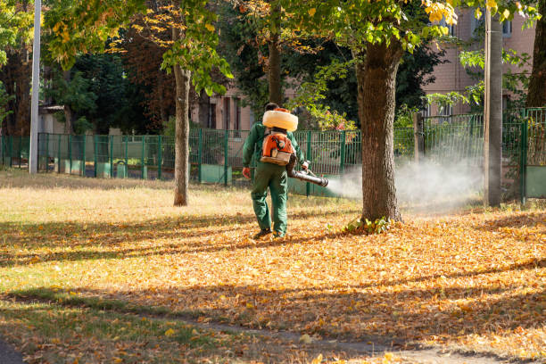 Best Bird Control  in Dale, PA
